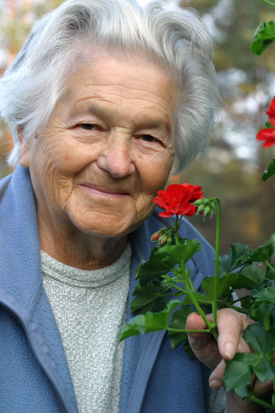 Older woman smelling flower